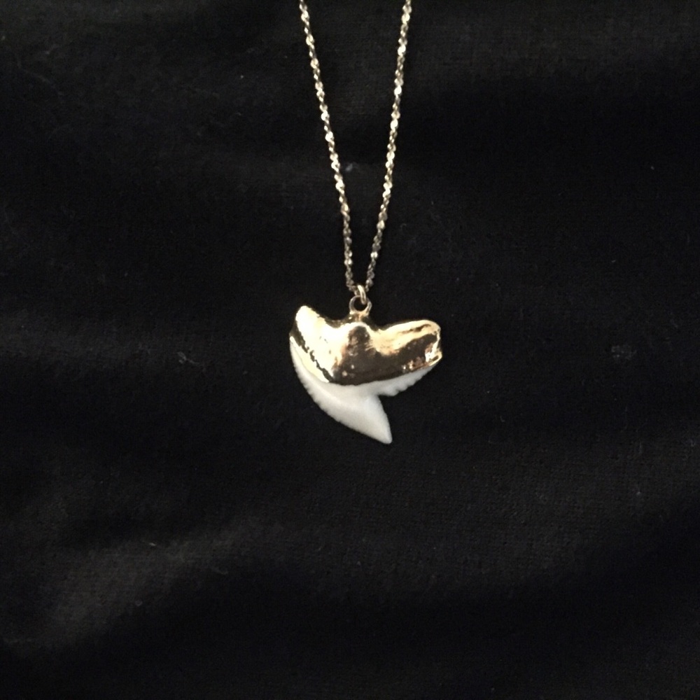 Gold-plated, shark-tooth necklace